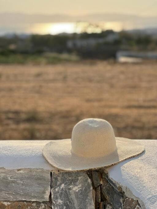 White Nadora Naxos Villa Agia Anna  Ngoại thất bức ảnh